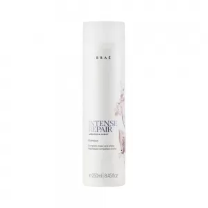 Shampoo Brae Intense Repair By Ana Paula Siebert 250Ml